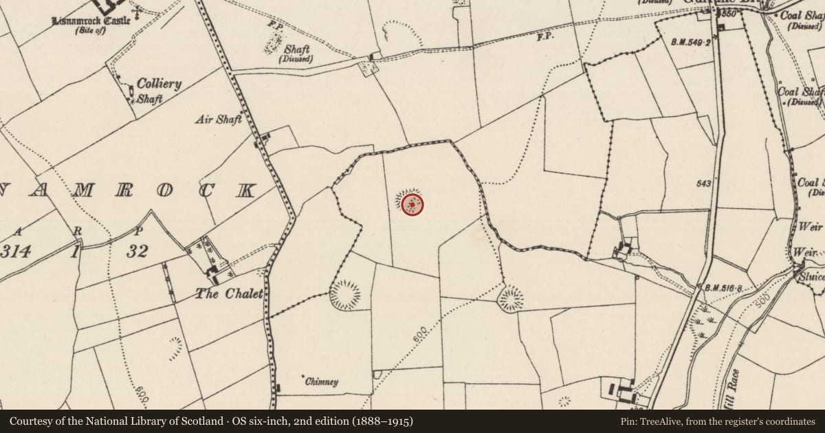 Ordnance Survey six-inch map, 2nd edition (1888–1915) covering the location of Ringfort - rath, Ballingarry Lower, County Tipperary South, with a pin at the register's coordinates