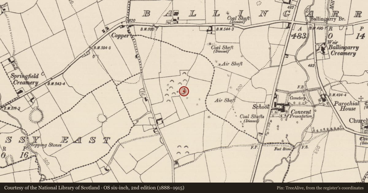 Ordnance Survey six-inch map, 2nd edition (1888–1915) covering the location of Ringfort - rath, Garrynoe, County Tipperary South, with a pin at the register's coordinates