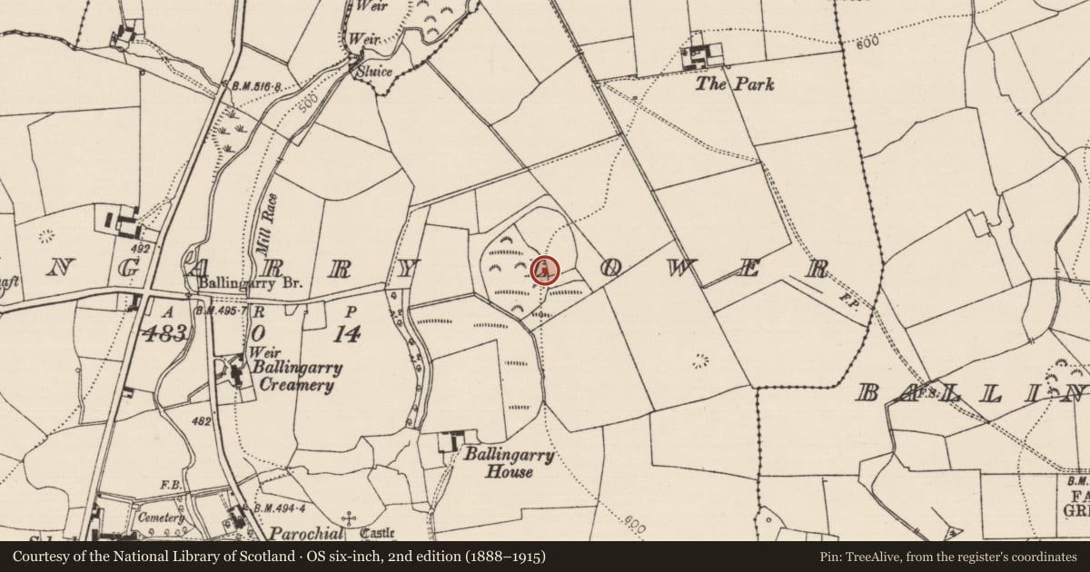 Ordnance Survey six-inch map, 2nd edition (1888–1915) covering the location of Burial ground, Ballingarry Lower, County Tipperary South, with a pin at the register's coordinates