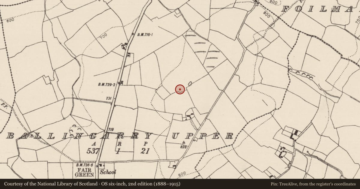 Ordnance Survey six-inch map, 2nd edition (1888–1915) covering the location of Enclosure, Ballingarry Upper, County Tipperary South, with a pin at the register's coordinates