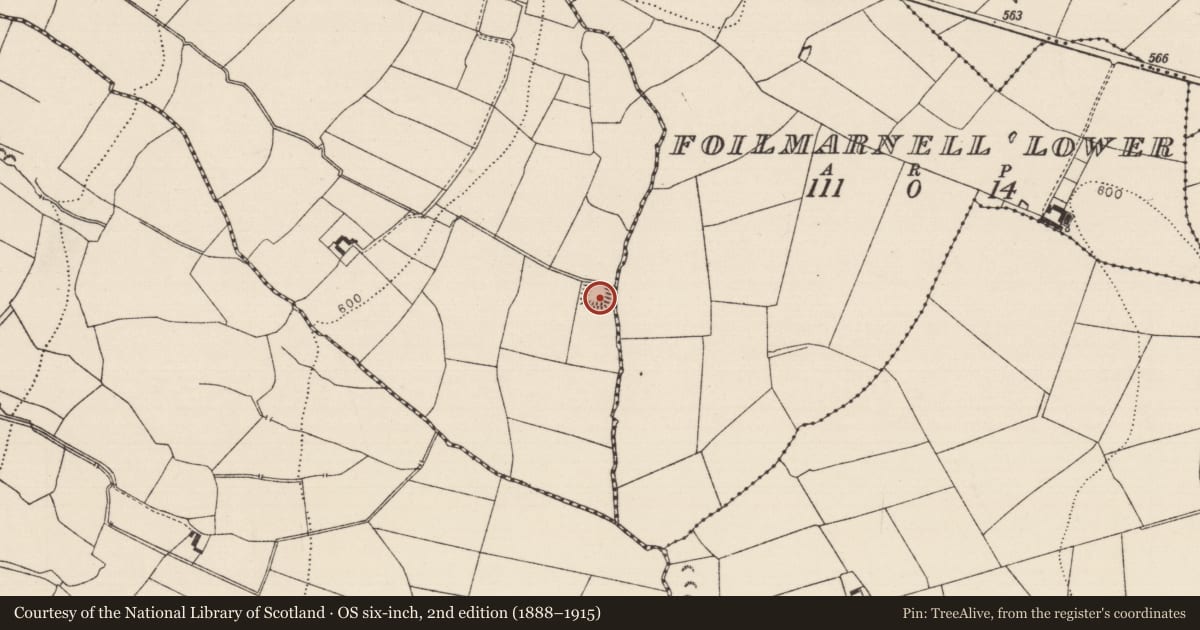 Ordnance Survey six-inch map, 2nd edition (1888–1915) covering the location of Moated site, Foilmarnell Upper, County Tipperary South, with a pin at the register's coordinates