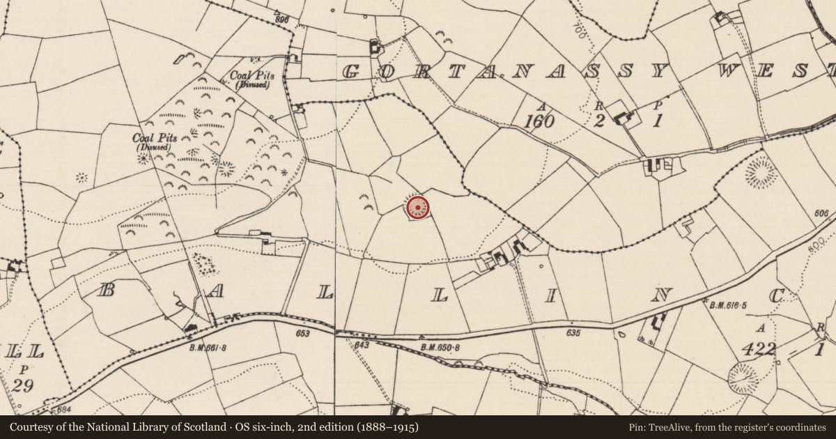 Ordnance Survey six-inch map, 2nd edition (1888–1915) covering the location of Ringfort - rath, Ballincurry (Crohane Par.), County Tipperary South, with a pin at the register's coordinates