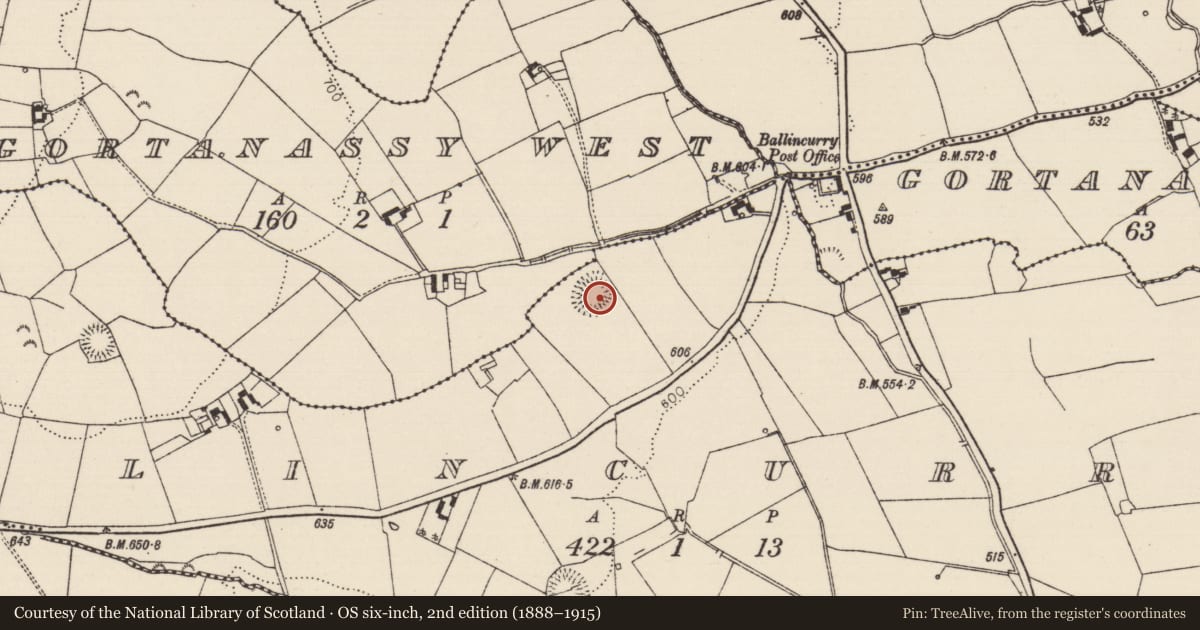 Ordnance Survey six-inch map, 2nd edition (1888–1915) covering the location of Ringfort - rath, Ballincurry (Crohane Par.), County Tipperary South, with a pin at the register's coordinates