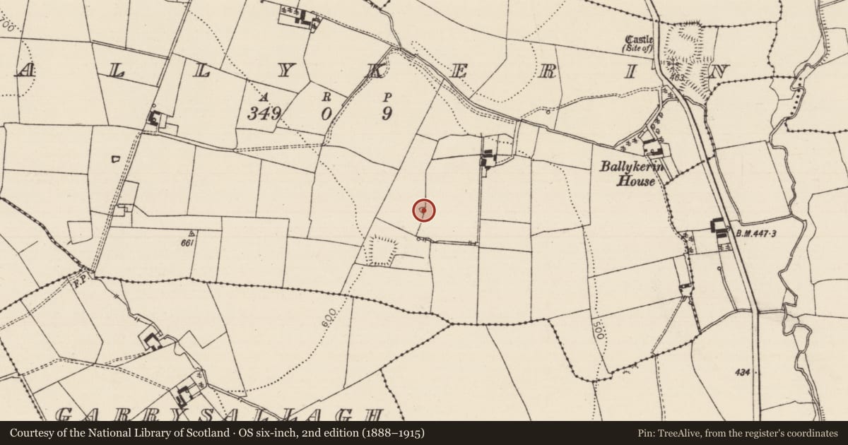 Ordnance Survey six-inch map, 2nd edition (1888–1915) covering the location of Enclosure, Ballykerin, County Tipperary South, with a pin at the register's coordinates