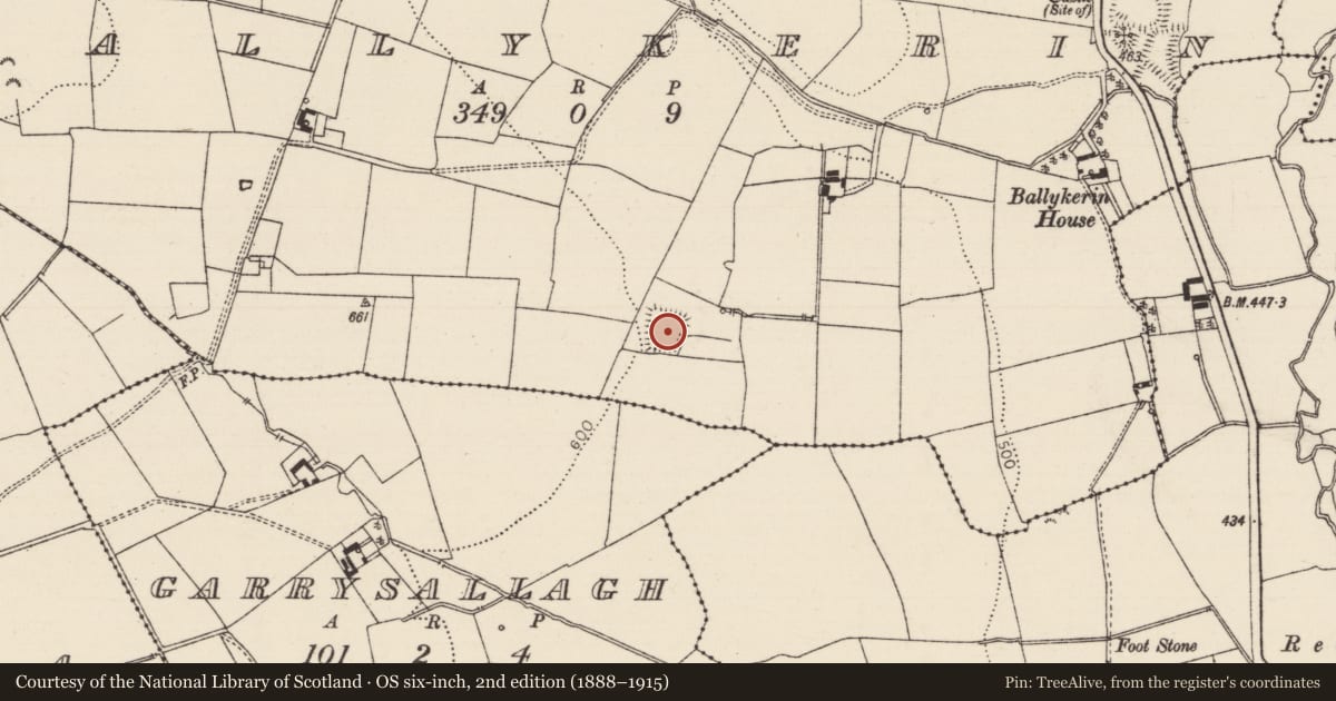 Ordnance Survey six-inch map, 2nd edition (1888–1915) covering the location of Moated site, Ballykerin, County Tipperary South, with a pin at the register's coordinates