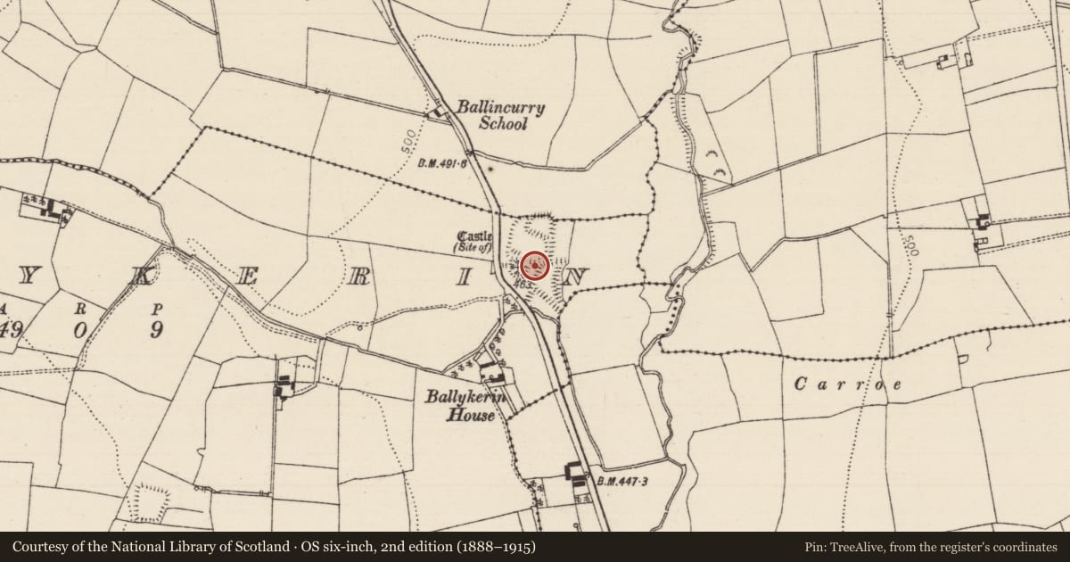 Ordnance Survey six-inch map, 2nd edition (1888–1915) covering the location of Settlement cluster, Ballykerin, County Tipperary South, with a pin at the register's coordinates