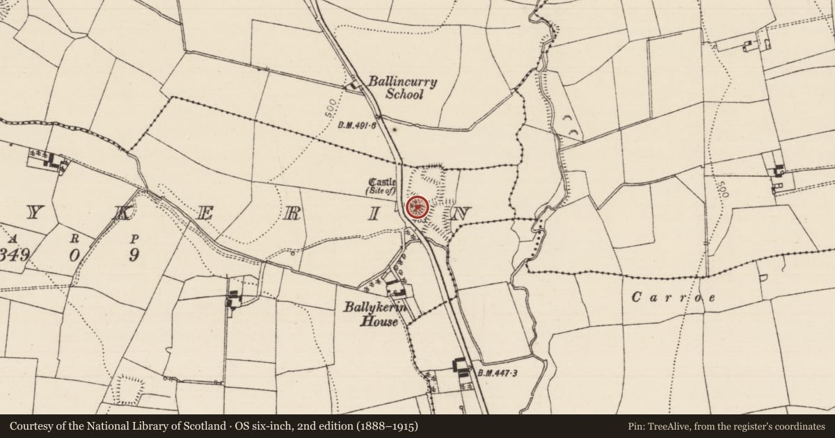 Ordnance Survey six-inch map, 2nd edition (1888–1915) covering the location of Castle - unclassified, Ballykerin, County Tipperary South, with a pin at the register's coordinates