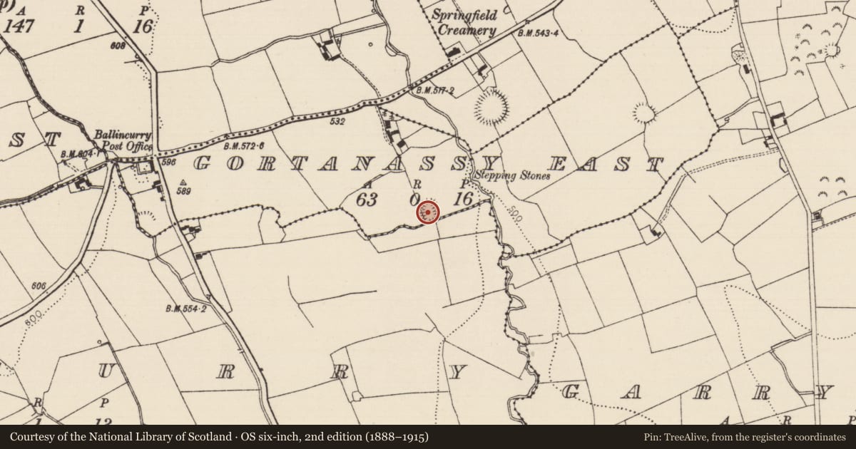 Ordnance Survey six-inch map, 2nd edition (1888–1915) covering the location of Moated site, Ballincurry (Crohane Par.), Gortanassy East, County Tipperary South, with a pin at the register's coordinates
