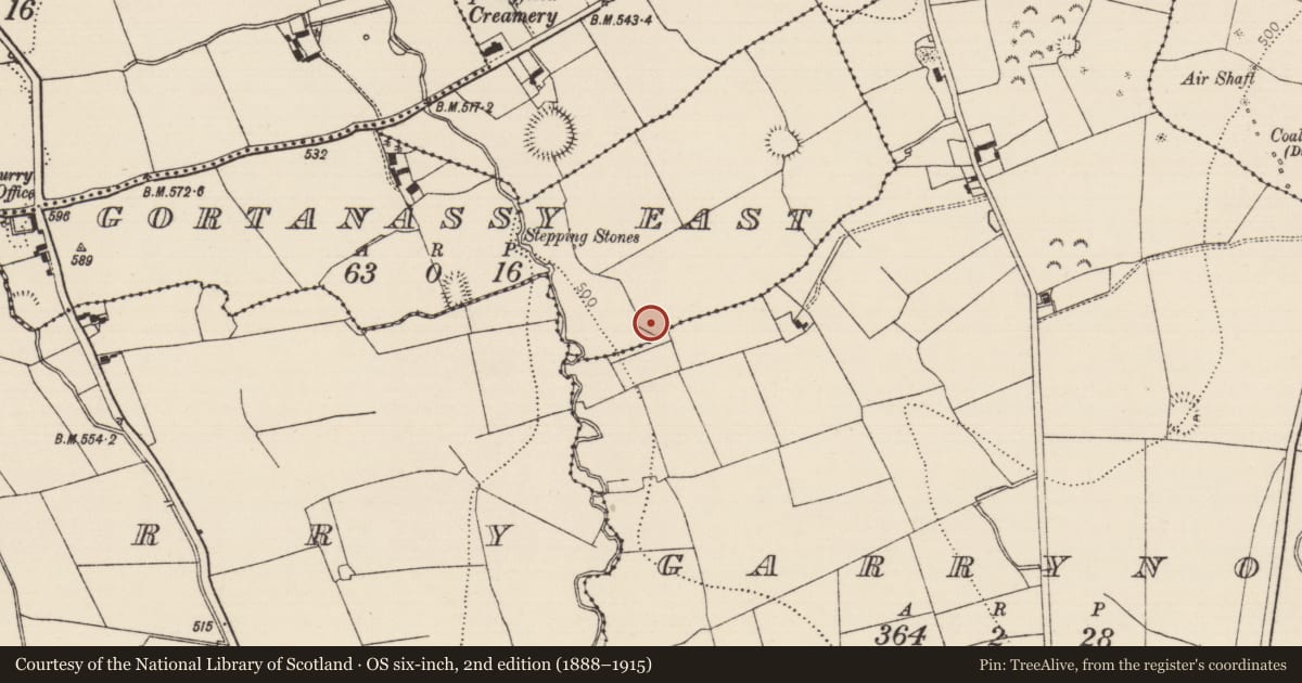 Ordnance Survey six-inch map, 2nd edition (1888–1915) covering the location of Enclosure, Gortanassy East, County Tipperary South, with a pin at the register's coordinates