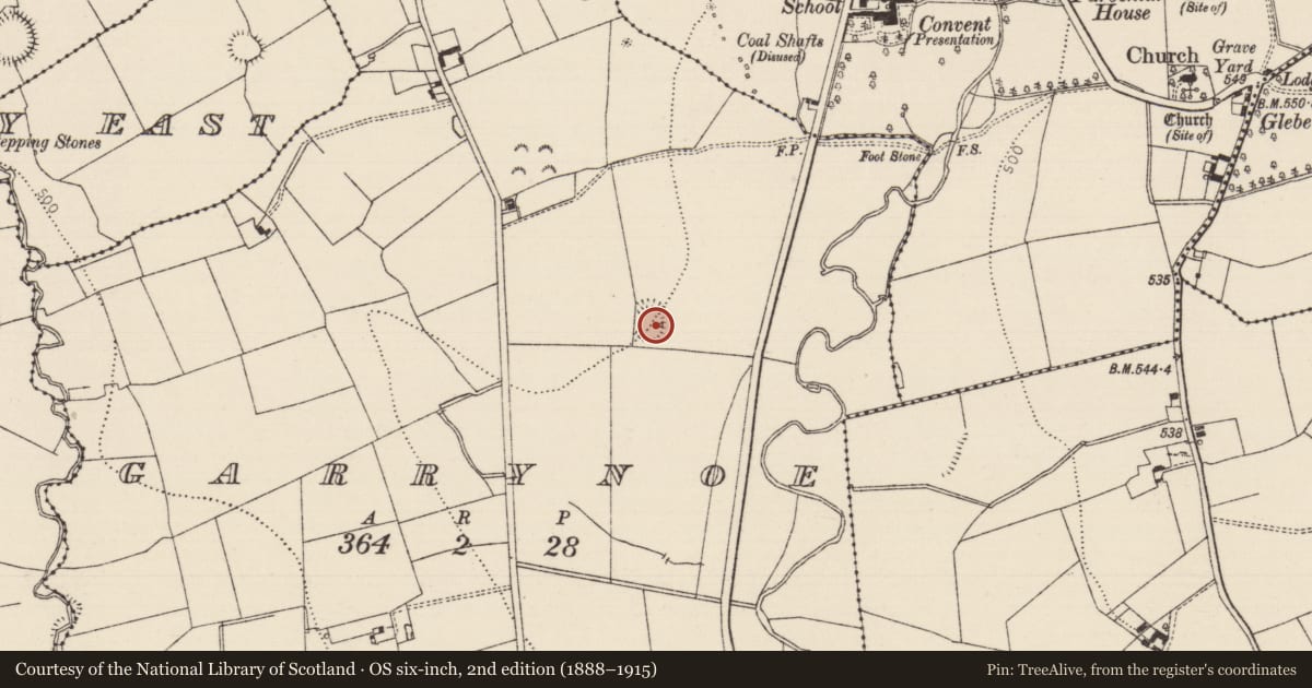 Ordnance Survey six-inch map, 2nd edition (1888–1915) covering the location of Ringfort - rath, Garrynoe, County Tipperary South, with a pin at the register's coordinates