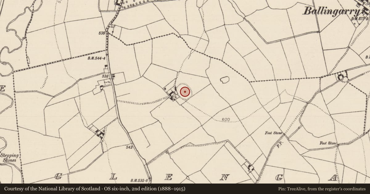Ordnance Survey six-inch map, 2nd edition (1888–1915) covering the location of Enclosure, Glengall, County Tipperary South, with a pin at the register's coordinates