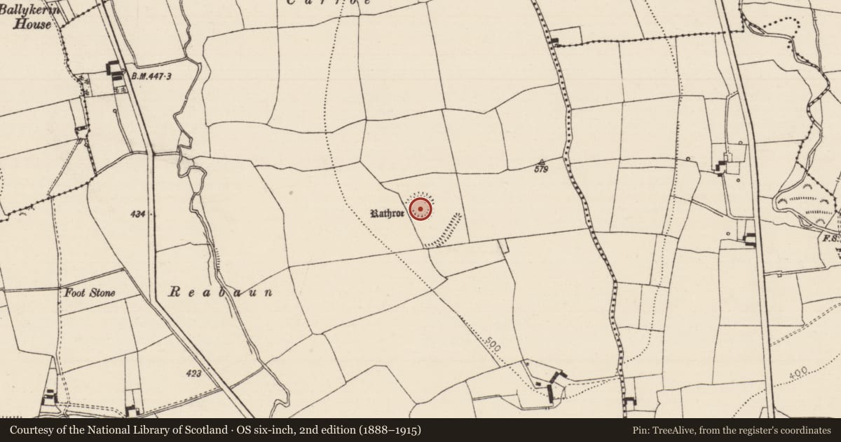 Ordnance Survey six-inch map, 2nd edition (1888–1915) covering the location of Ringfort - rath, Crohane Lower, County Tipperary South, with a pin at the register's coordinates