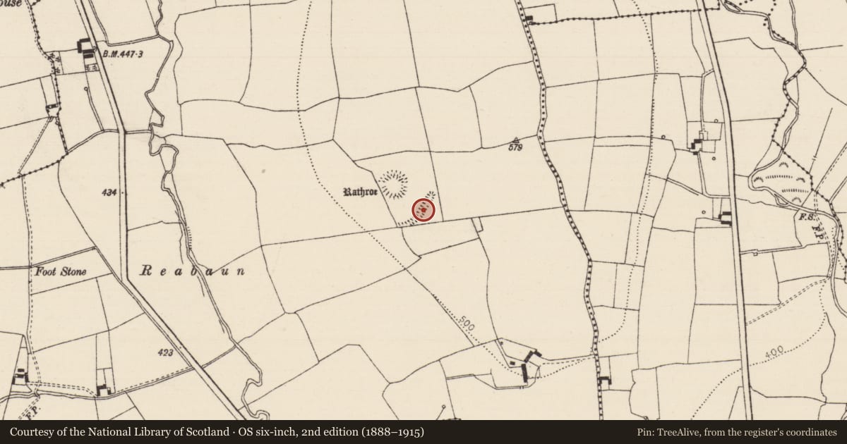 Ordnance Survey six-inch map, 2nd edition (1888–1915) covering the location of Road - hollow-way, Crohane Lower, County Tipperary South, with a pin at the register's coordinates