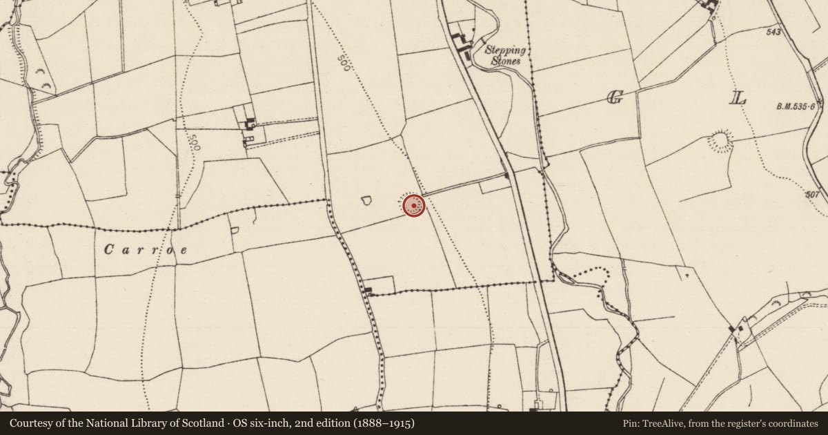 Ordnance Survey six-inch map, 2nd edition (1888–1915) covering the location of Ringfort - rath, Garrynoe, County Tipperary South, with a pin at the register's coordinates