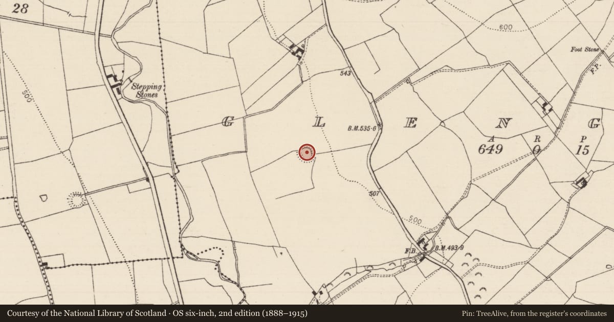 Ordnance Survey six-inch map, 2nd edition (1888–1915) covering the location of Ringfort - rath, Glengall, County Tipperary South, with a pin at the register's coordinates