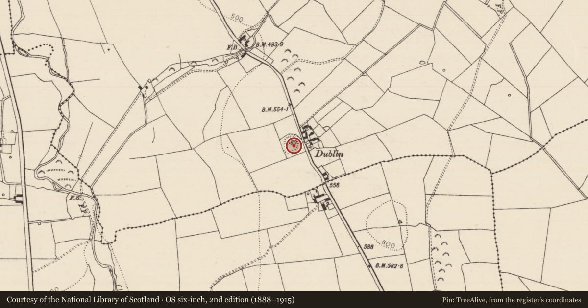Ordnance Survey six-inch map, 2nd edition (1888–1915) covering the location of Ringfort - rath, Glengall, County Tipperary South, with a pin at the register's coordinates