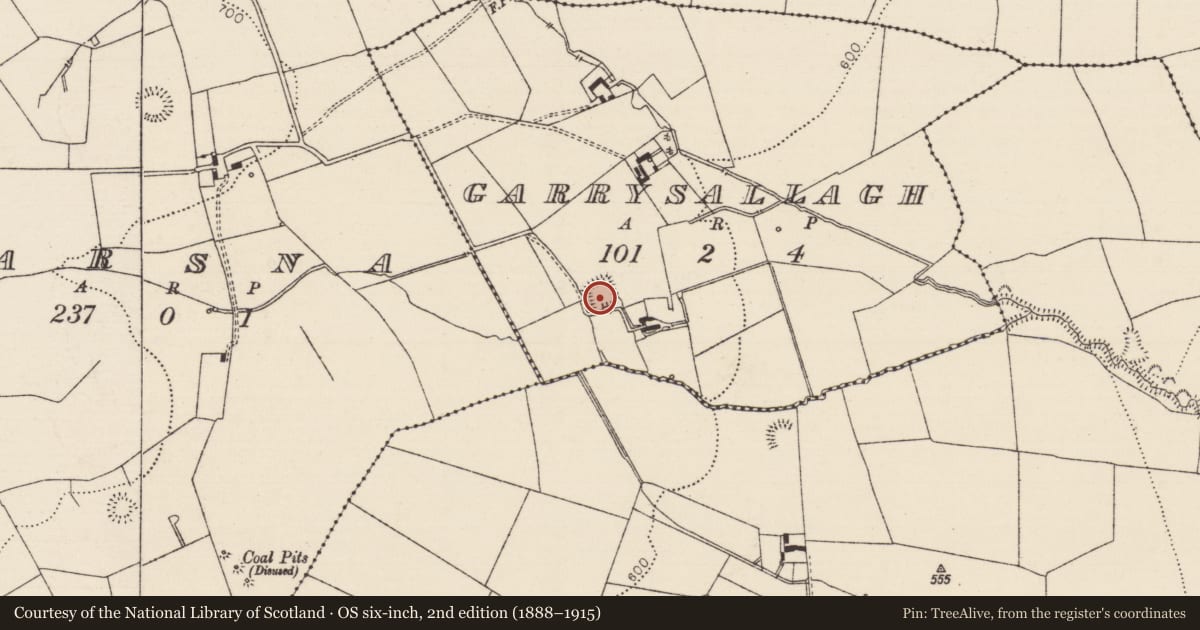 Ordnance Survey six-inch map, 2nd edition (1888–1915) covering the location of Moated site, Garrysallagh, County Tipperary South, with a pin at the register's coordinates