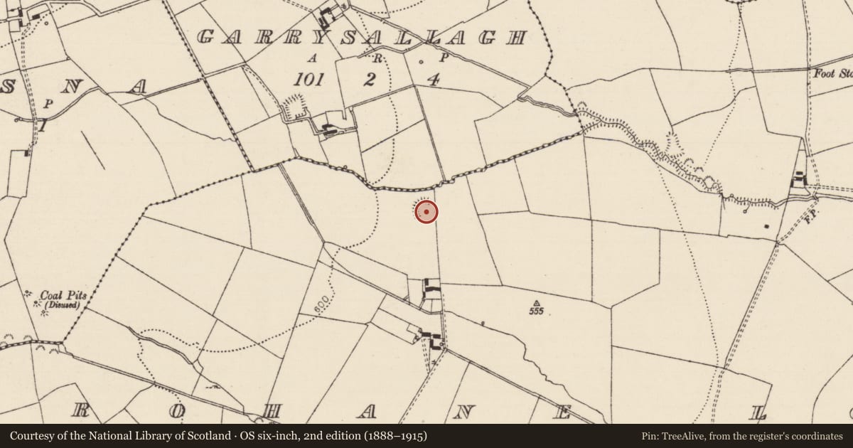Ordnance Survey six-inch map, 2nd edition (1888–1915) covering the location of Enclosure, Crohane Lower, County Tipperary South, with a pin at the register's coordinates
