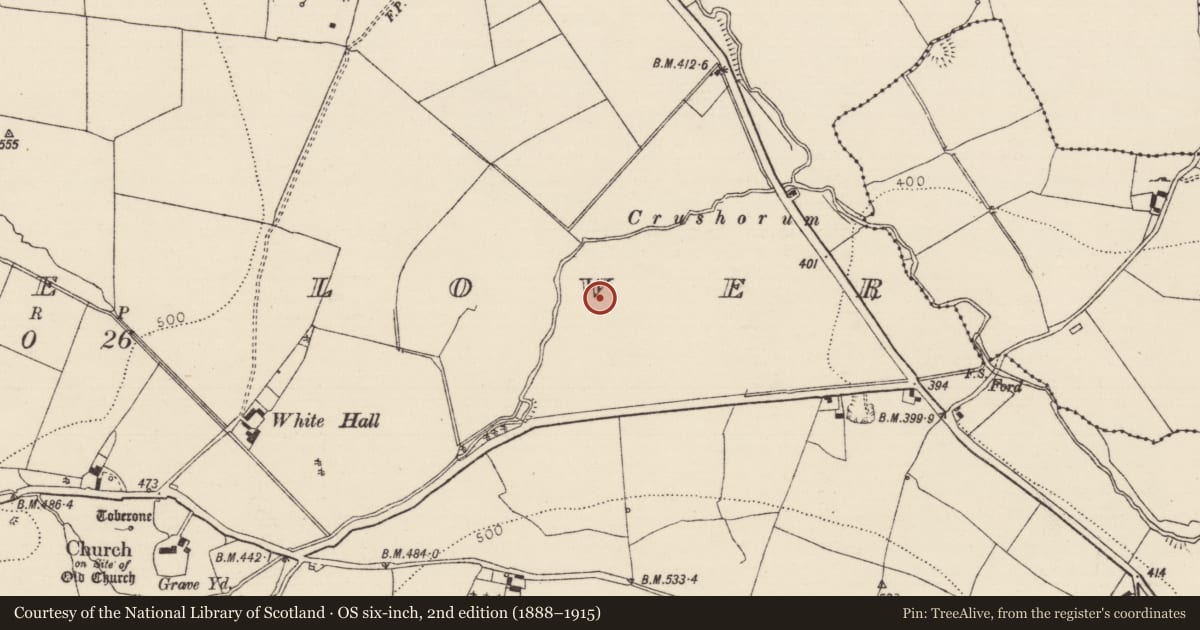 Ordnance Survey six-inch map, 2nd edition (1888–1915) covering the location of Moated site, Crohane Lower, County Tipperary South, with a pin at the register's coordinates