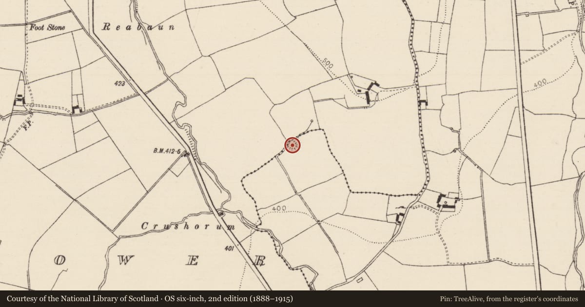 Ordnance Survey six-inch map, 2nd edition (1888–1915) covering the location of Enclosure, Crohane Lower, Shangarry, County Tipperary South, with a pin at the register's coordinates