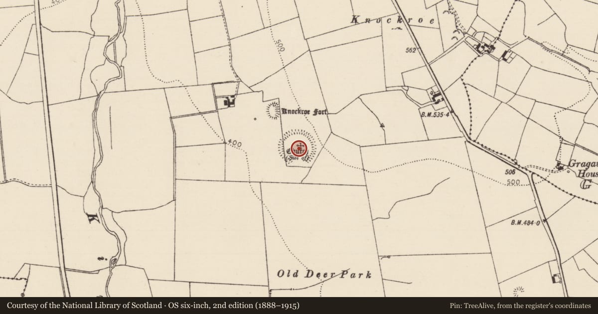 Ordnance Survey six-inch map, 2nd edition (1888–1915) covering the location of Enclosure, Shangarry, County Tipperary South, with a pin at the register's coordinates