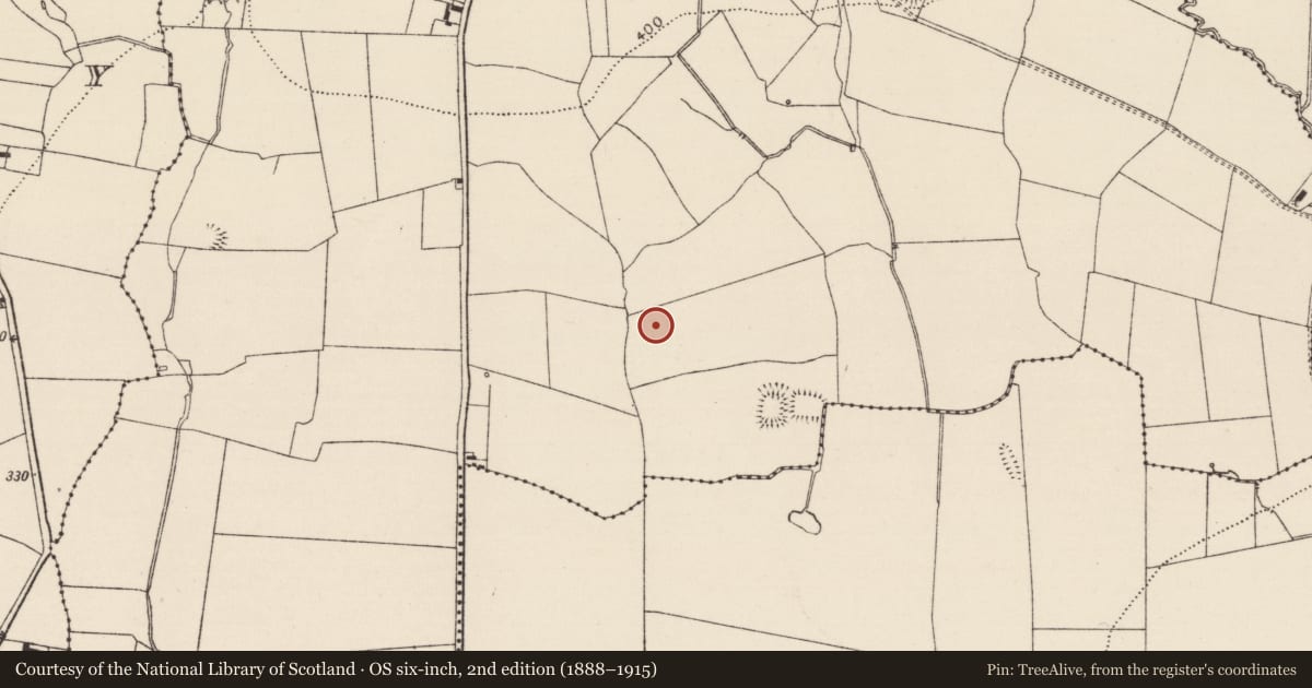 Ordnance Survey six-inch map, 2nd edition (1888–1915) covering the location of Ringfort - rath, Gragaugh, County Tipperary South, with a pin at the register's coordinates