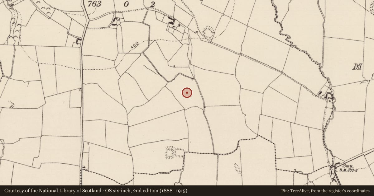 Ordnance Survey six-inch map, 2nd edition (1888–1915) covering the location of Road - road/trackway, Gragaugh, County Tipperary South, with a pin at the register's coordinates
