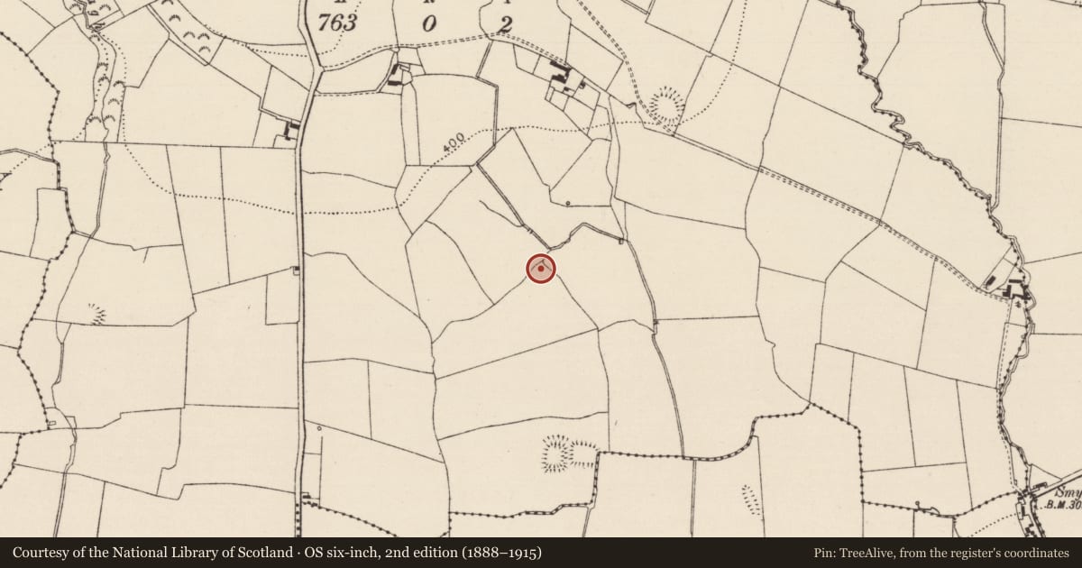Ordnance Survey six-inch map, 2nd edition (1888–1915) covering the location of Enclosure, Gragaugh, County Tipperary South, with a pin at the register's coordinates