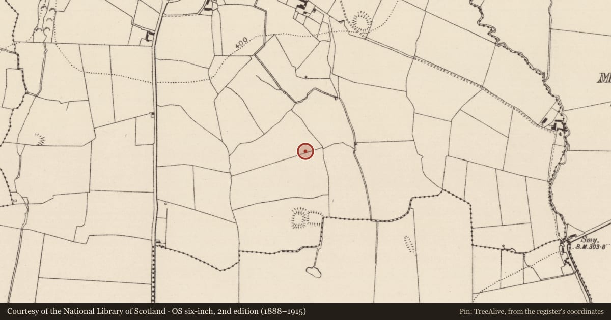 Ordnance Survey six-inch map, 2nd edition (1888–1915) covering the location of Enclosure, Gragaugh, County Tipperary South, with a pin at the register's coordinates