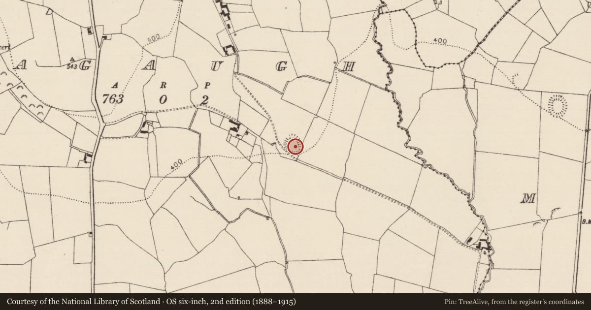 Ordnance Survey six-inch map, 2nd edition (1888–1915) covering the location of Ringfort - rath, Gragaugh, County Tipperary South, with a pin at the register's coordinates