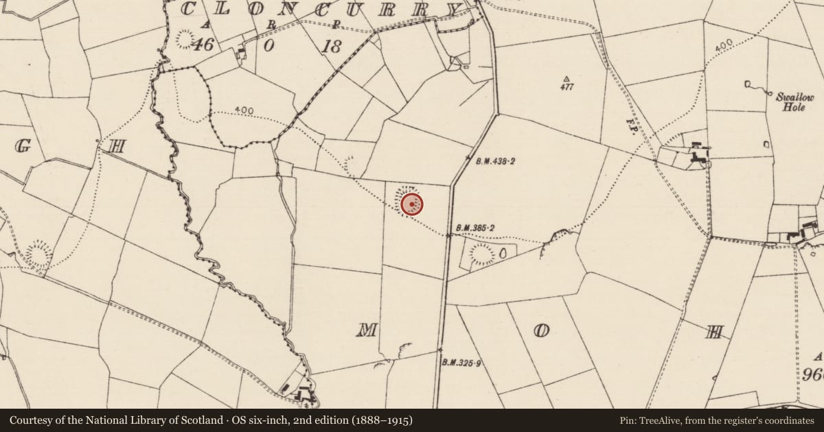 Ordnance Survey six-inch map, 2nd edition (1888–1915) covering the location of Ringfort - rath, Mohober, County Tipperary South, with a pin at the register's coordinates