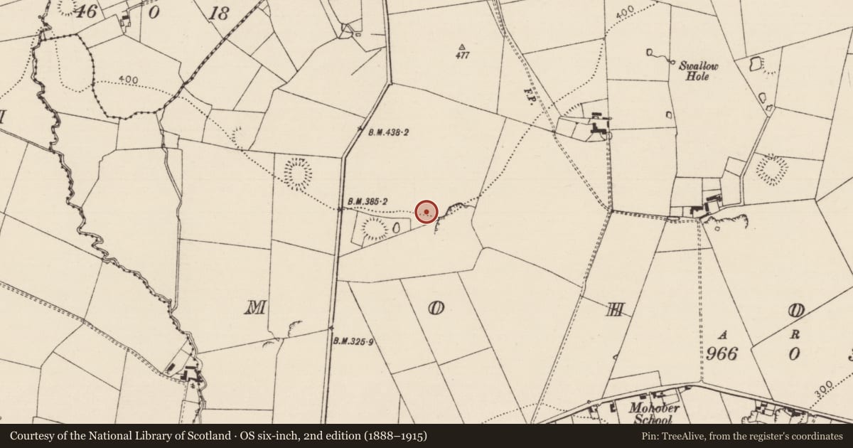 Ordnance Survey six-inch map, 2nd edition (1888–1915) covering the location of Enclosure, Mohober, County Tipperary South, with a pin at the register's coordinates