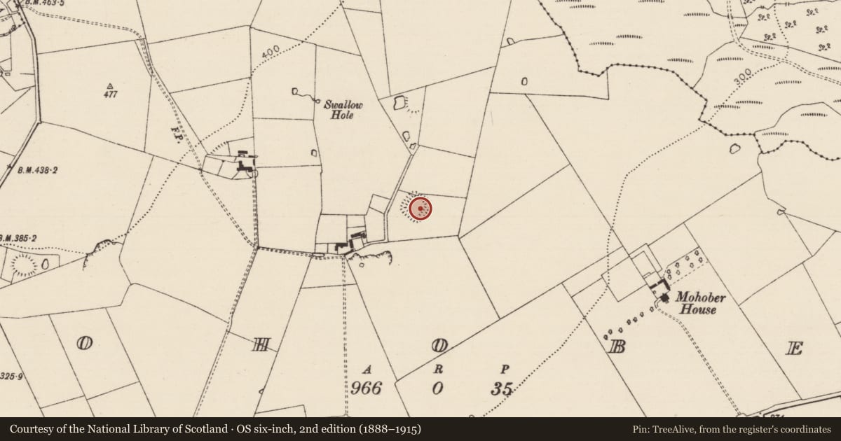 Ordnance Survey six-inch map, 2nd edition (1888–1915) covering the location of Moated site, Mohober, County Tipperary South, with a pin at the register's coordinates