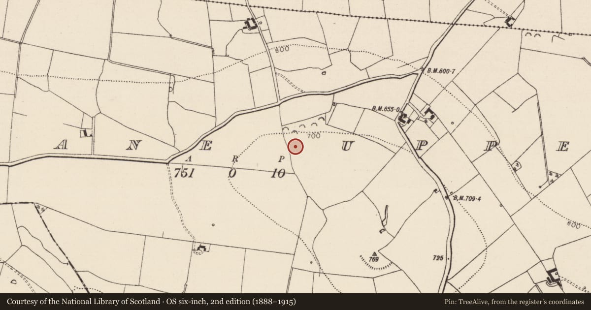 Ordnance Survey six-inch map, 2nd edition (1888–1915) covering the location of Enclosure, Crohane Upper, County Tipperary South, with a pin at the register's coordinates