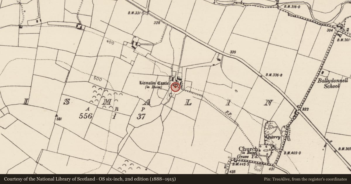 Ordnance Survey six-inch map, 2nd edition (1888–1915) covering the location of Settlement cluster, Lismalin, County Tipperary South, with a pin at the register's coordinates