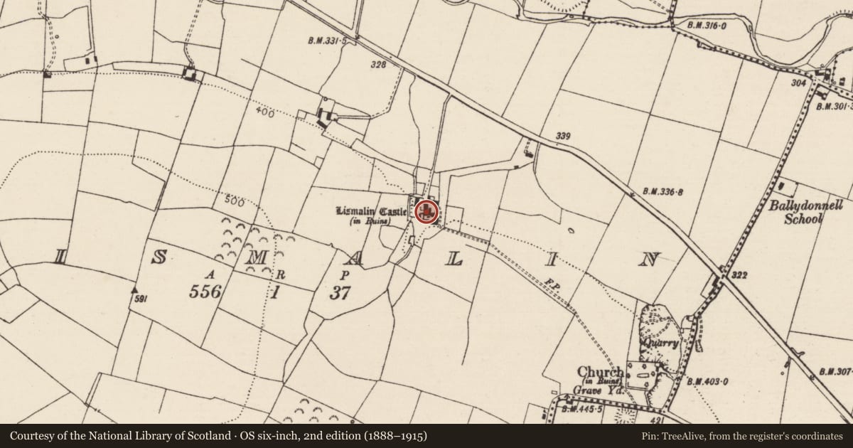 Ordnance Survey six-inch map, 2nd edition (1888–1915) covering the location of Bawn, Lismalin, County Tipperary South, with a pin at the register's coordinates