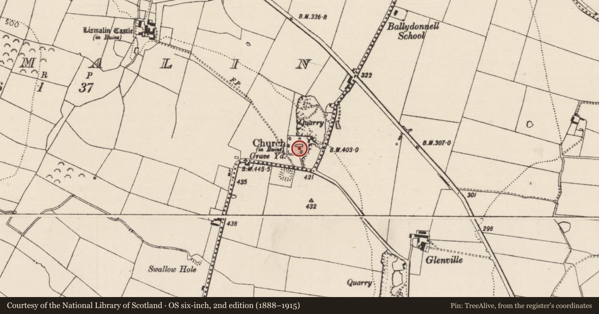 Ordnance Survey six-inch map, 2nd edition (1888–1915) covering the location of Church, Lismalin, County Tipperary South, with a pin at the register's coordinates
