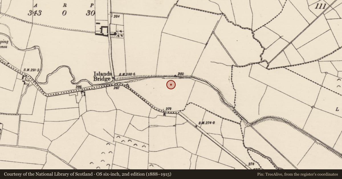 Ordnance Survey six-inch map, 2nd edition (1888–1915) covering the location of Enclosure, Islands, County Tipperary South, with a pin at the register's coordinates