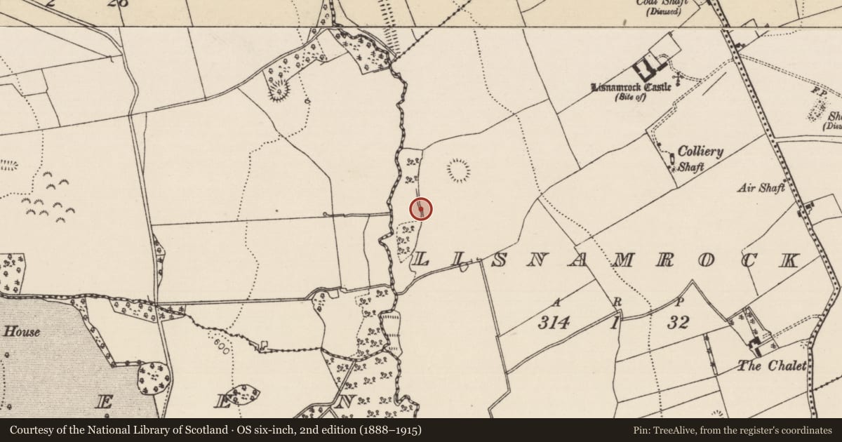 Ordnance Survey six-inch map, 2nd edition (1888–1915) covering the location of Water mill - unclassified, Lisnamrock, County Tipperary South, with a pin at the register's coordinates