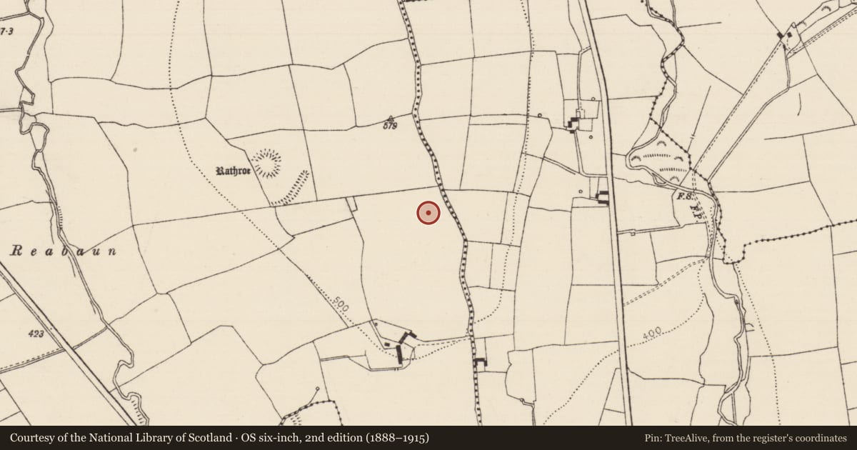Ordnance Survey six-inch map, 2nd edition (1888–1915) covering the location of Enclosure, Crohane Lower, County Tipperary South, with a pin at the register's coordinates
