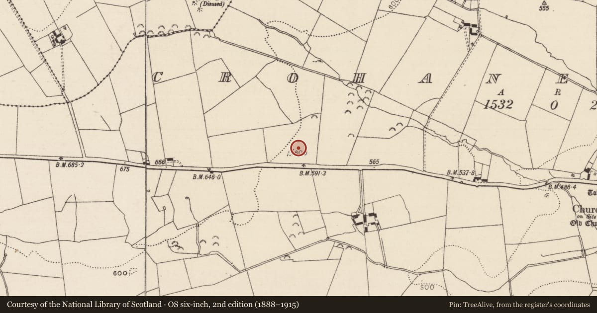 Ordnance Survey six-inch map, 2nd edition (1888–1915) covering the location of Standing stone, Crohane Lower, County Tipperary South, with a pin at the register's coordinates