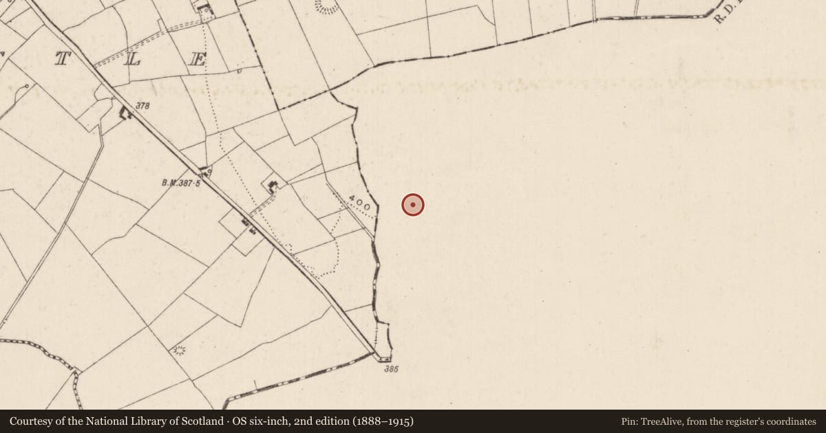 Ordnance Survey six-inch map, 2nd edition (1888–1915) covering the location of Ringfort - rath, Killeennagallive, County Tipperary South, with a pin at the register's coordinates