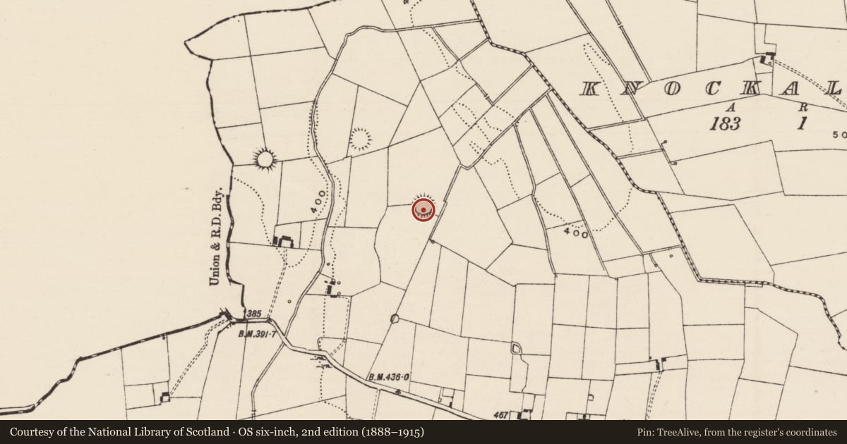 Ordnance Survey six-inch map, 2nd edition (1888–1915) covering the location of Barrow - stepped barrow, Killeennagallive, County Tipperary South, with a pin at the register's coordinates
