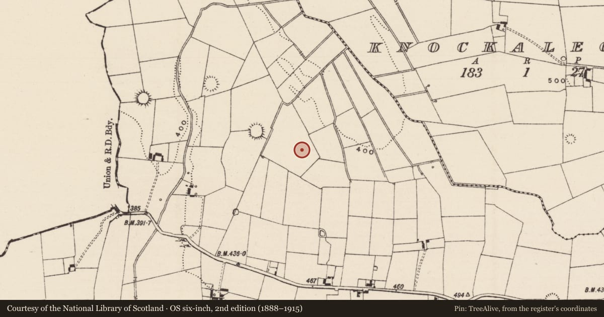 Ordnance Survey six-inch map, 2nd edition (1888–1915) covering the location of Enclosure, Killeennagallive, County Tipperary South, with a pin at the register's coordinates