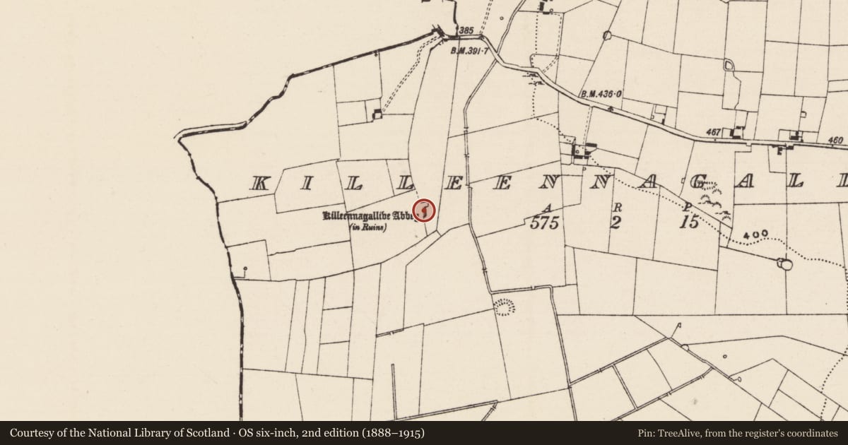 Ordnance Survey six-inch map, 2nd edition (1888–1915) covering the location of Religious house - Franciscan friars, Killeennagallive, County Tipperary South, with a pin at the register's coordinates