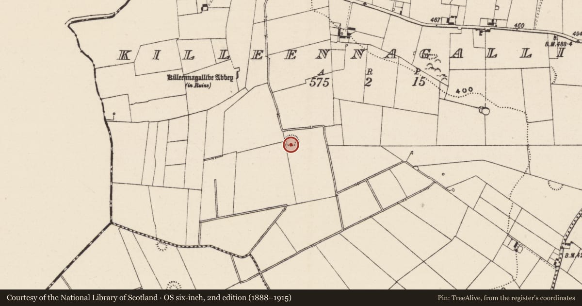Ordnance Survey six-inch map, 2nd edition (1888–1915) covering the location of Ringfort - rath, Killeennagallive, County Tipperary South, with a pin at the register's coordinates