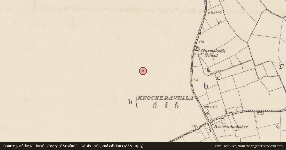 Ordnance Survey six-inch map, 2nd edition (1888–1915) covering the location of Ringfort - rath, Knockalegan, County Tipperary South, with a pin at the register's coordinates