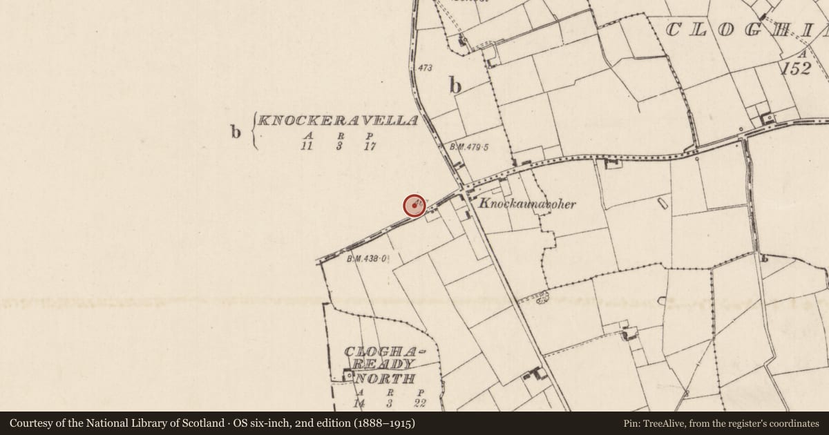 Ordnance Survey six-inch map, 2nd edition (1888–1915) covering the location of Ringfort - rath, Killeennagallive, County Tipperary South, with a pin at the register's coordinates
