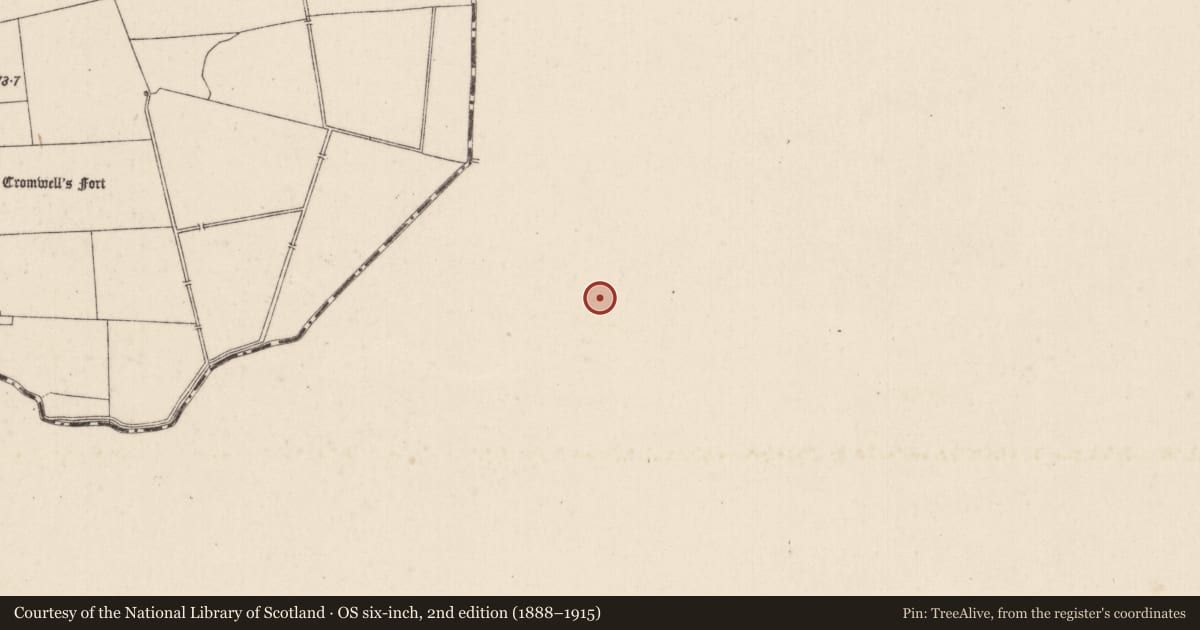 Ordnance Survey six-inch map, 2nd edition (1888–1915) covering the location of Ringfort - rath, Duncummin, County Tipperary South, with a pin at the register's coordinates
