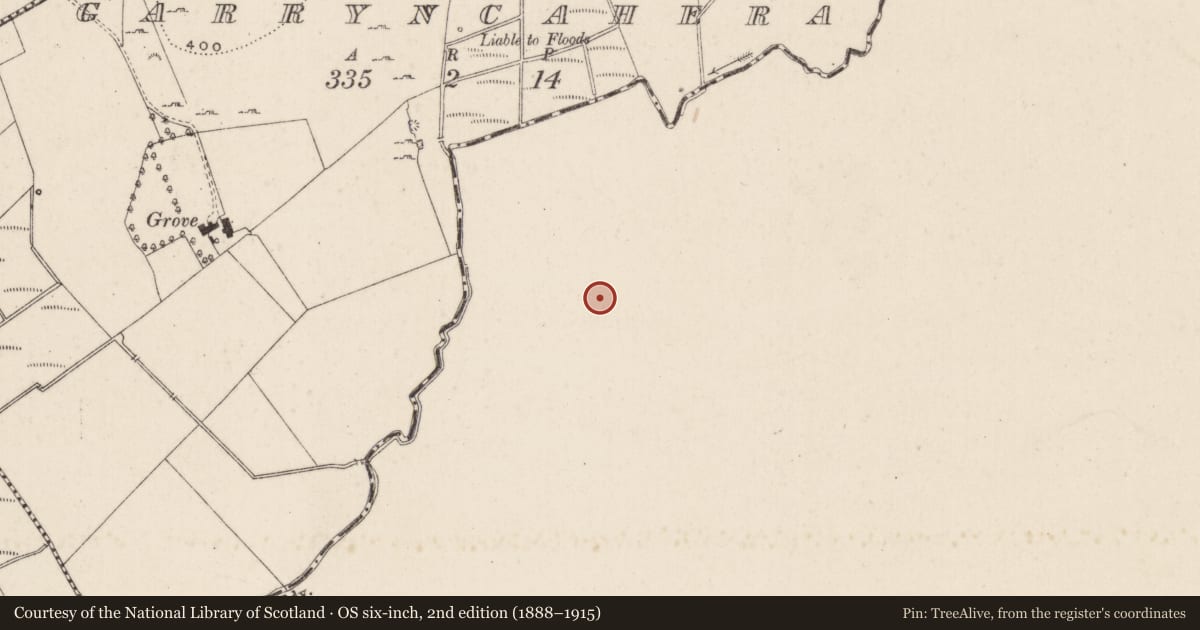 Ordnance Survey six-inch map, 2nd edition (1888–1915) covering the location of Barrow - stepped barrow, Ballyvistea, County Tipperary South, with a pin at the register's coordinates